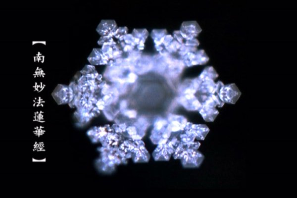 【給水看文字，經文】